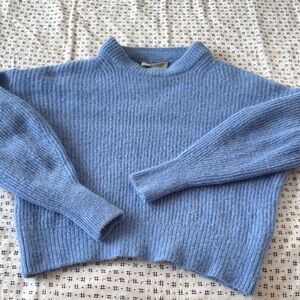Everlane Blue Crew Neck Sweater